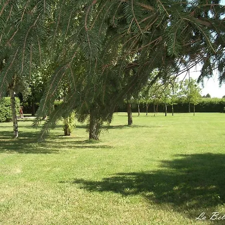 La Belle Epoque - Casa Vacanze * Badia Polesine